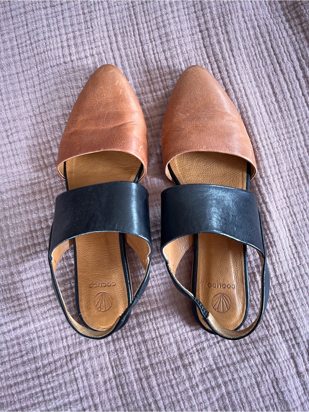 COCLICO Driggs Flat 40